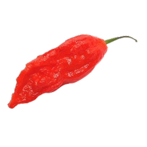 Bhut Jolokia