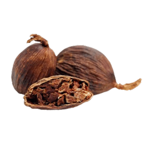 Large Cardamom