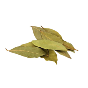 Bay leave